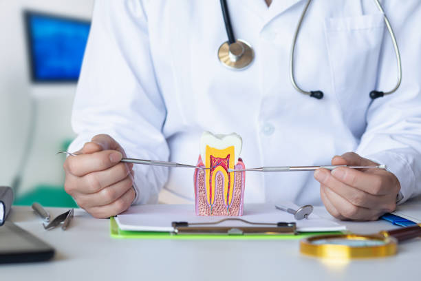 Best Emergency Tooth Extraction in Kirby, TX